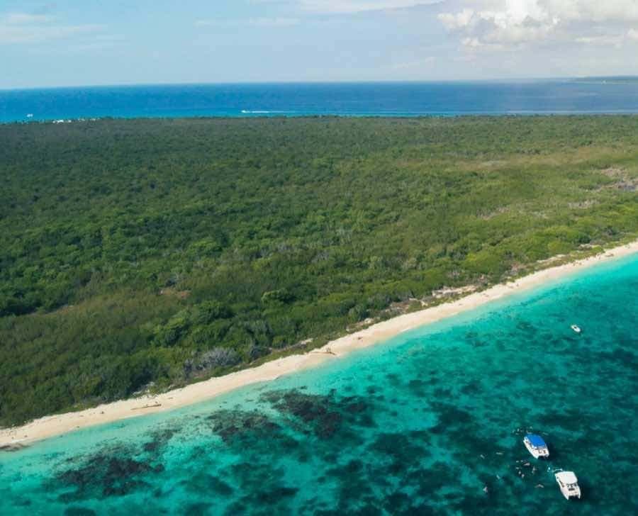 From Punta Cana: Catalina Island Snorkeling Tour