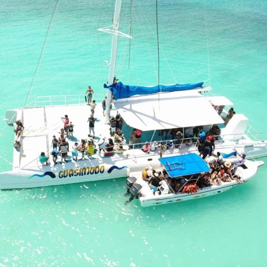 From Punta Cana: Saona Island Trip with Lunch