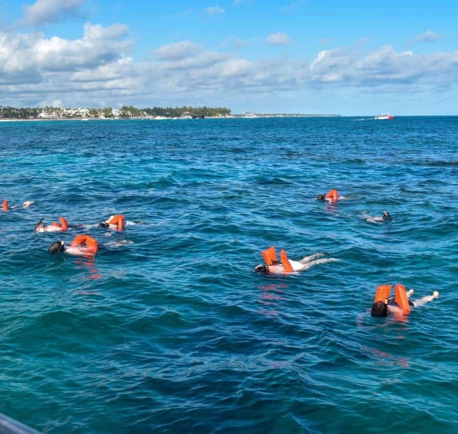 Saona Island Tour From Santo Domingo with Lunch and Pickup