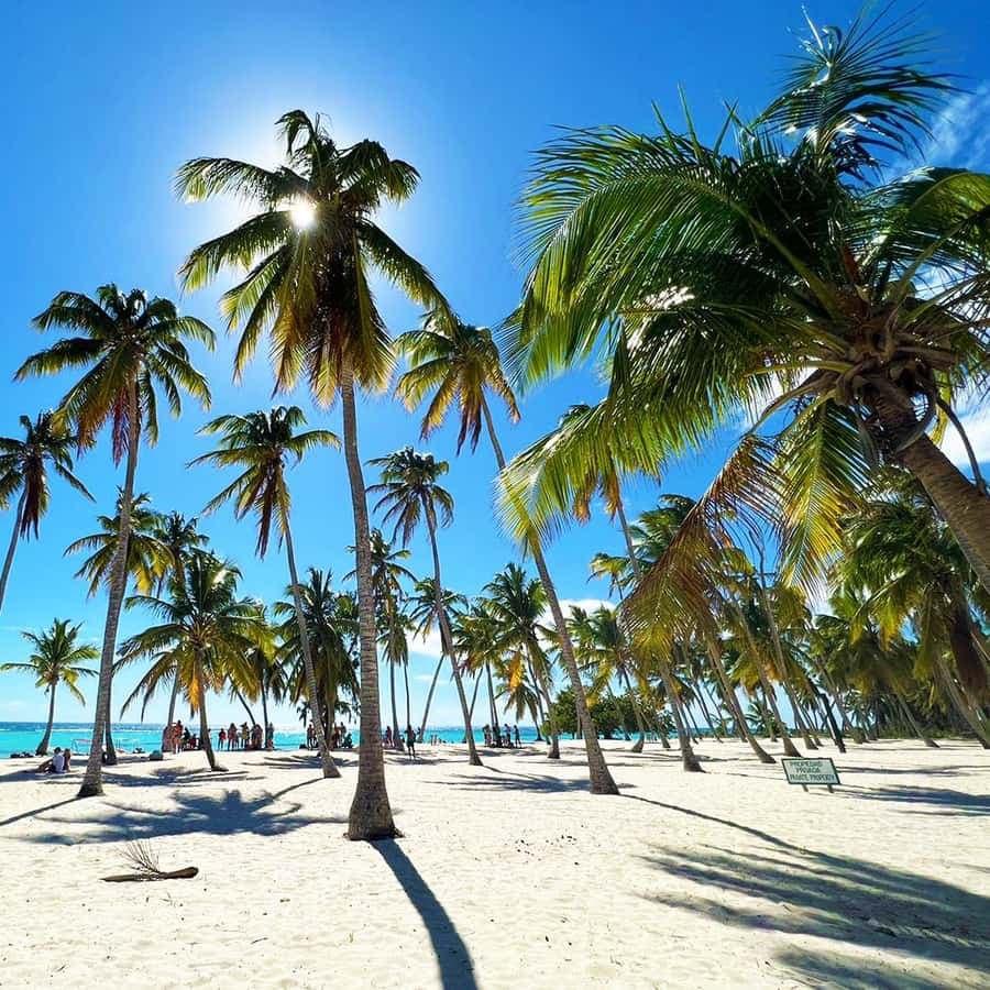 Punta Cana: Saona Island Premium 3 beaches