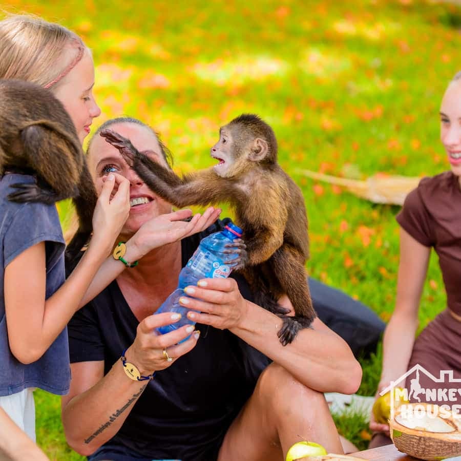 Punta Cana: Interactive Experience at Monkey House