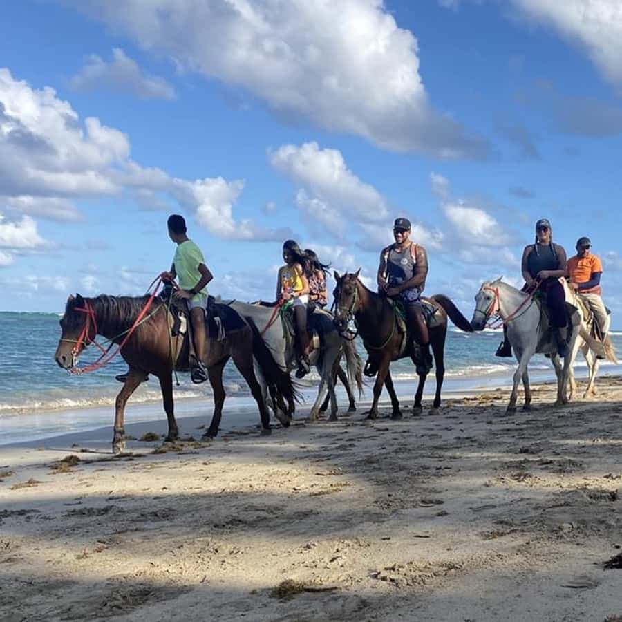 Bayahibe: Buggy and Horseback Riding Tour