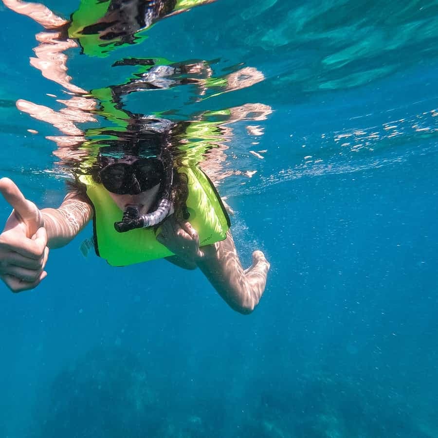 From Punta Cana: Catalina Island Snorkeling Tour