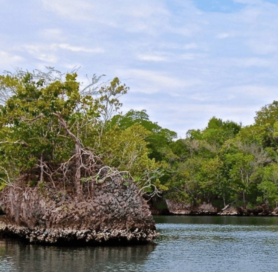 Punta Cana: 2-Day Saona Island and Los Haitises Adventure