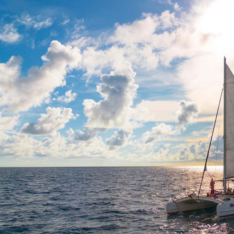 From Punta Cana: Catalina Island Swim, Sail & Snorkel