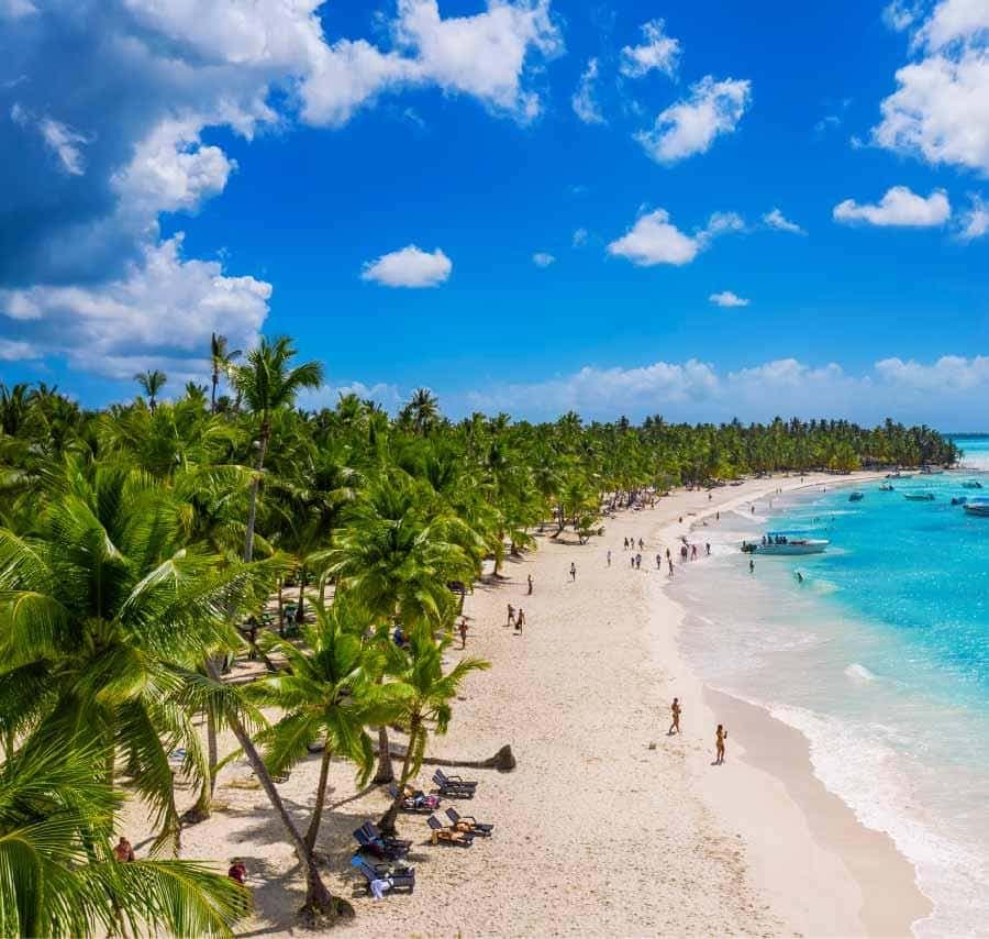 Punta Cana: Isla Saona Speedboat Tour with Snorkeling