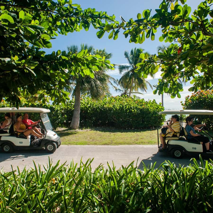 Golf Cart Eco Tour Half Day Tour
