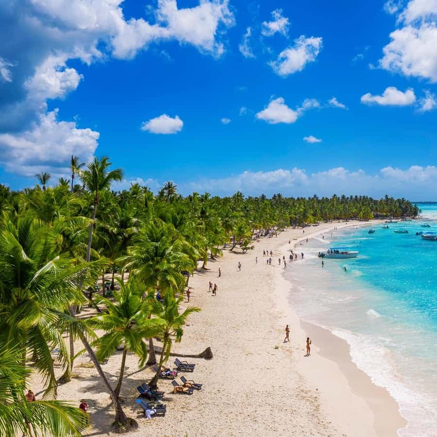 Saona Island: Full-Day Tour with Snorkeling and Lunch
