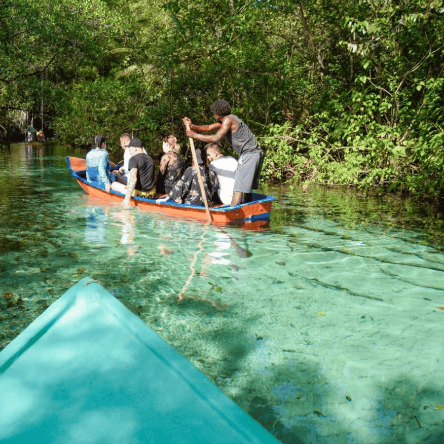 Punta Cana: Samana Cayo Levantado & Limón Waterfall
