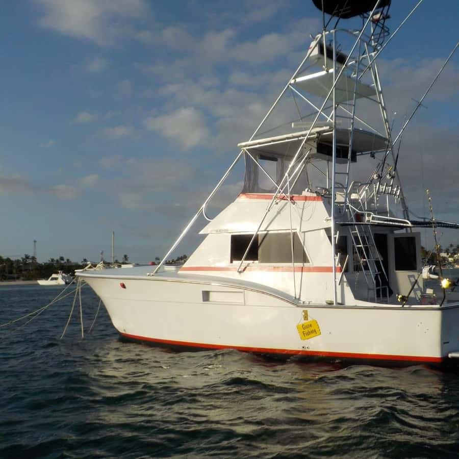 4 hours of deep sea fishing from Bavaro Punta Cana