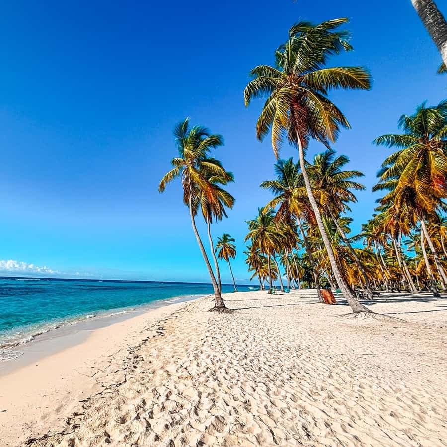 Punta Cana: Saona Crusoe VIP