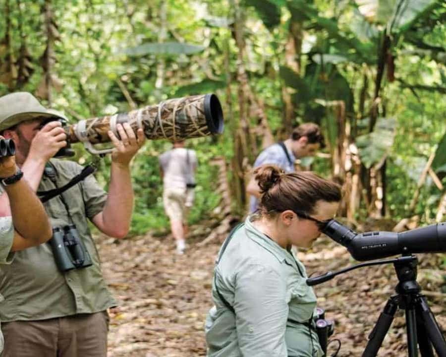 Bayahibe: Birdwatching Tour with Guide