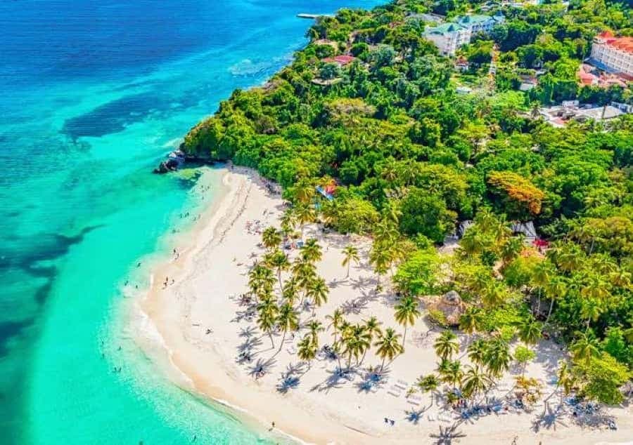 Bayahibe: Samaná and Miches Whale Watching Day Trip
