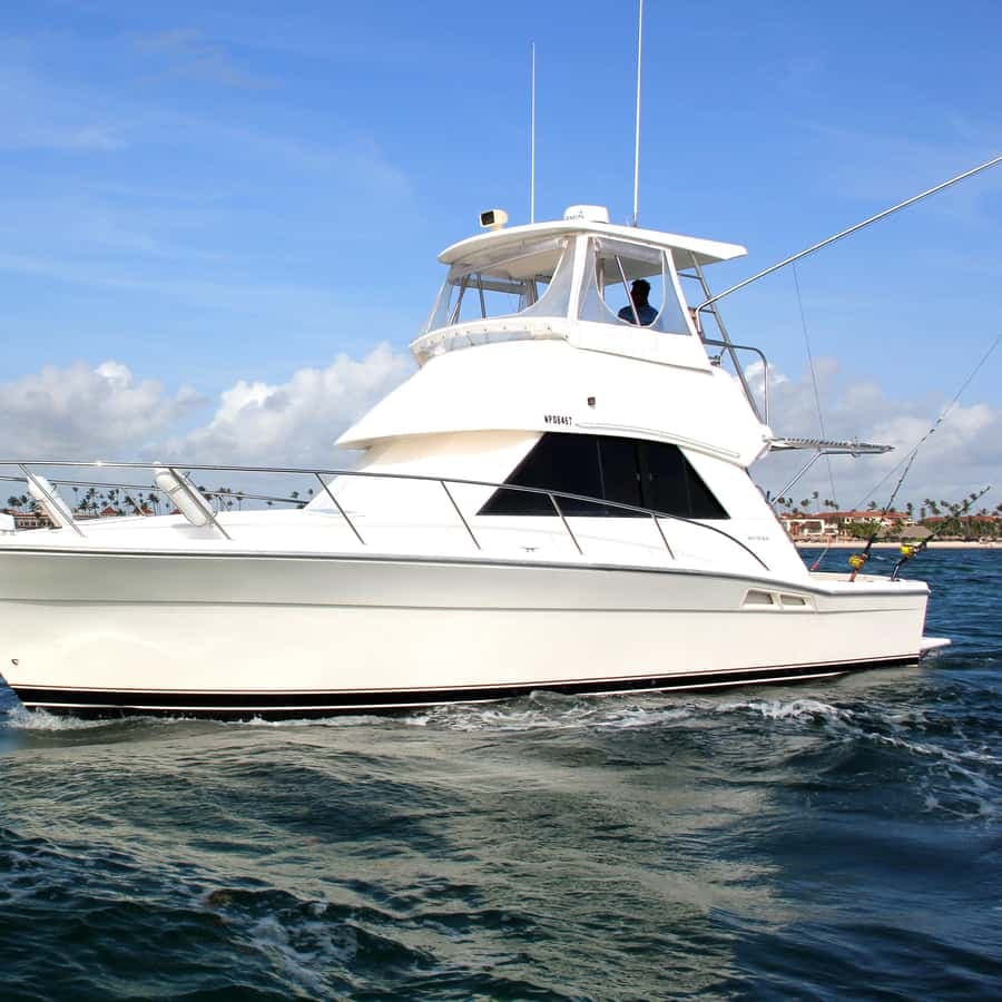 Private Fishing Charters "Gone Dog" 37' boat offshore trip