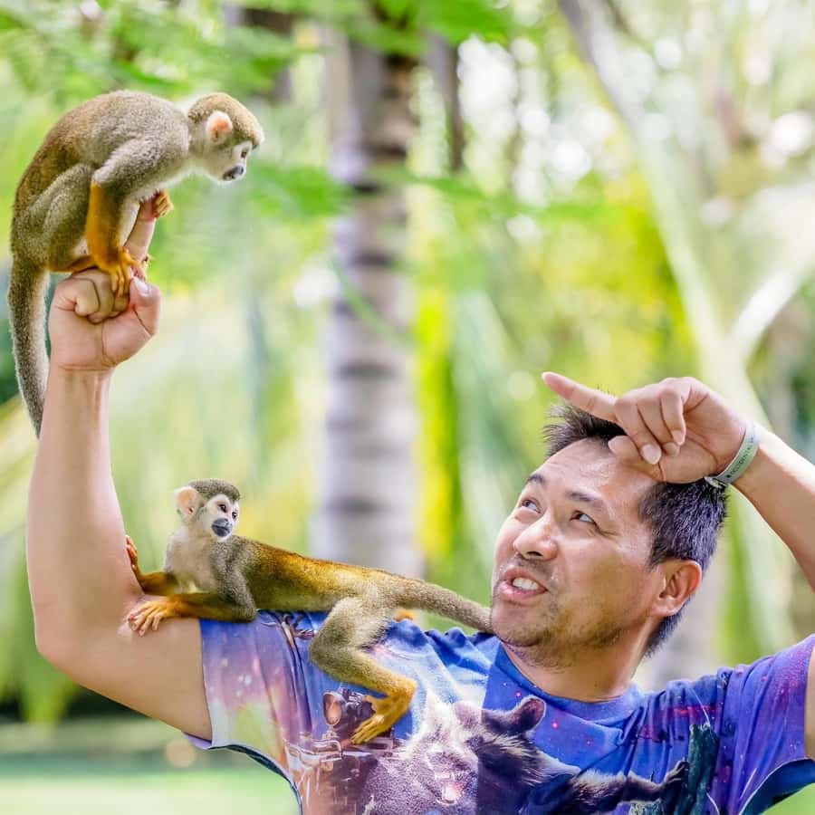 Punta Cana: Tour Monkey Adventure With Hotel Pick Up