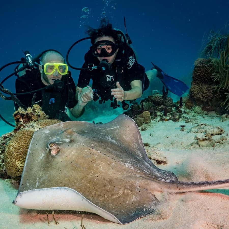 Bayhibe: Private 2 Tank Scuba Dive tour in the National Park
