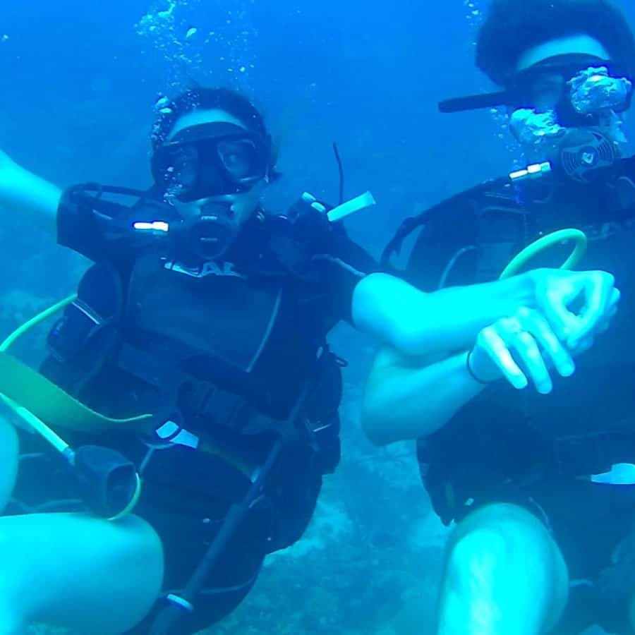 Scuba Diving in Catalina Island