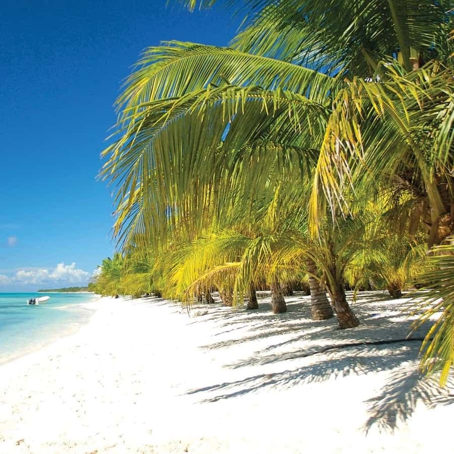Punta Cana: Saona Island Speedboat and Catamaran Tour