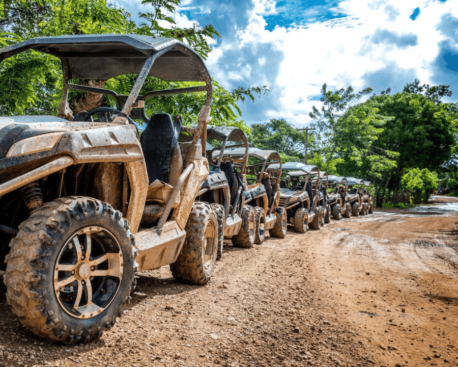 Punta Cana: Amazing Buggy Polaris and 4wheels