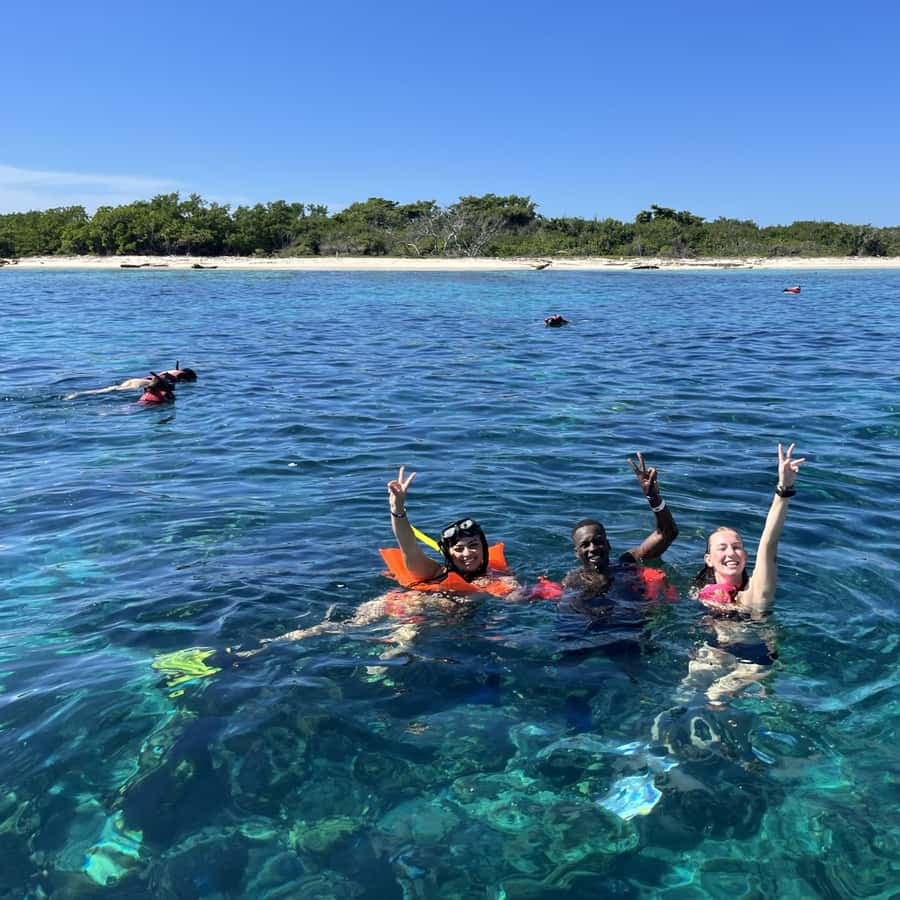 From Punta Cana: Small Group Catalina Island Snorkeling Tour