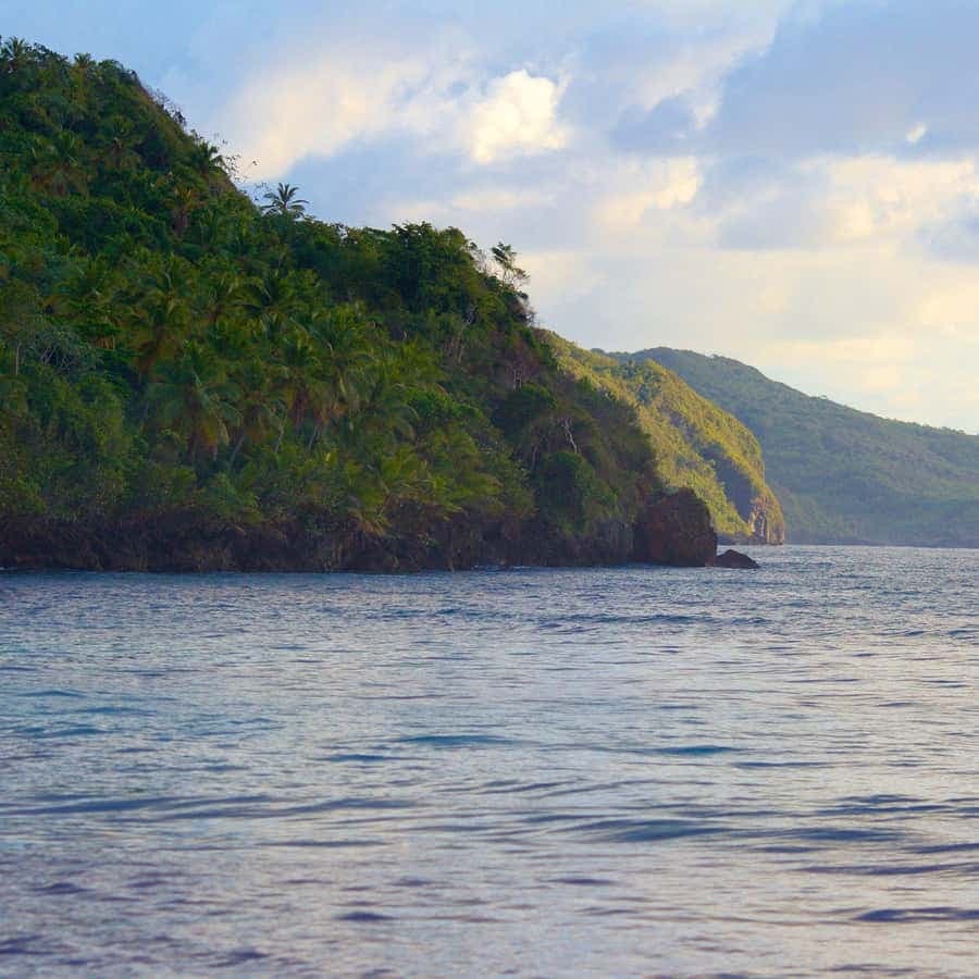 Samana Day Tour: Cayo Levantado & Rincon Bay Paradise
