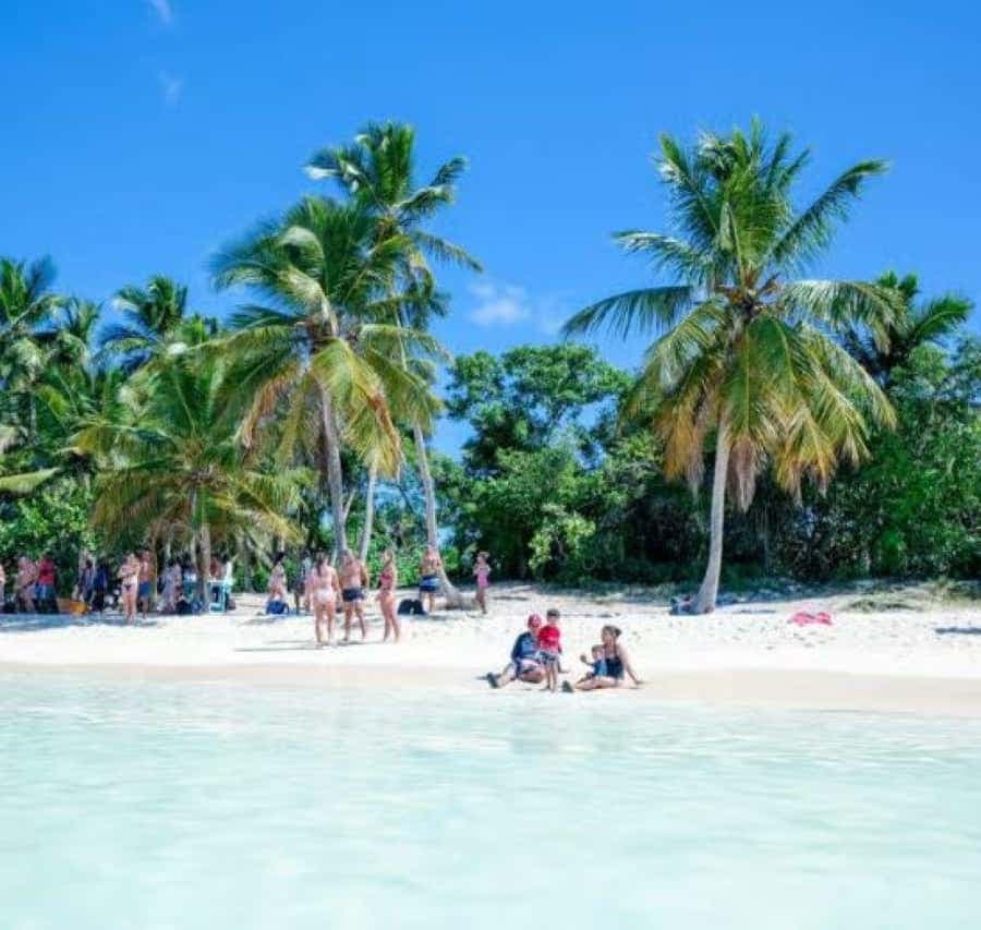 Punta Cana: Saona Island VIP Catamaran, Beach & Sunset Tour