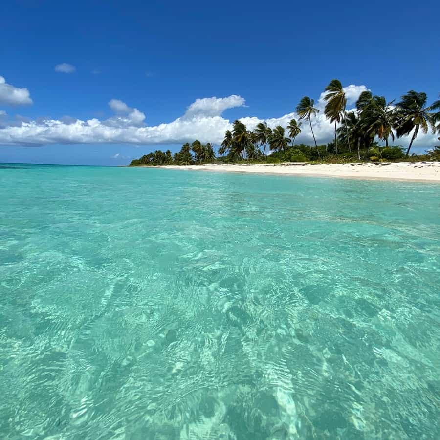 Saona Island VIP: 4 Beaches , Mano Juan & Canto de la Playa