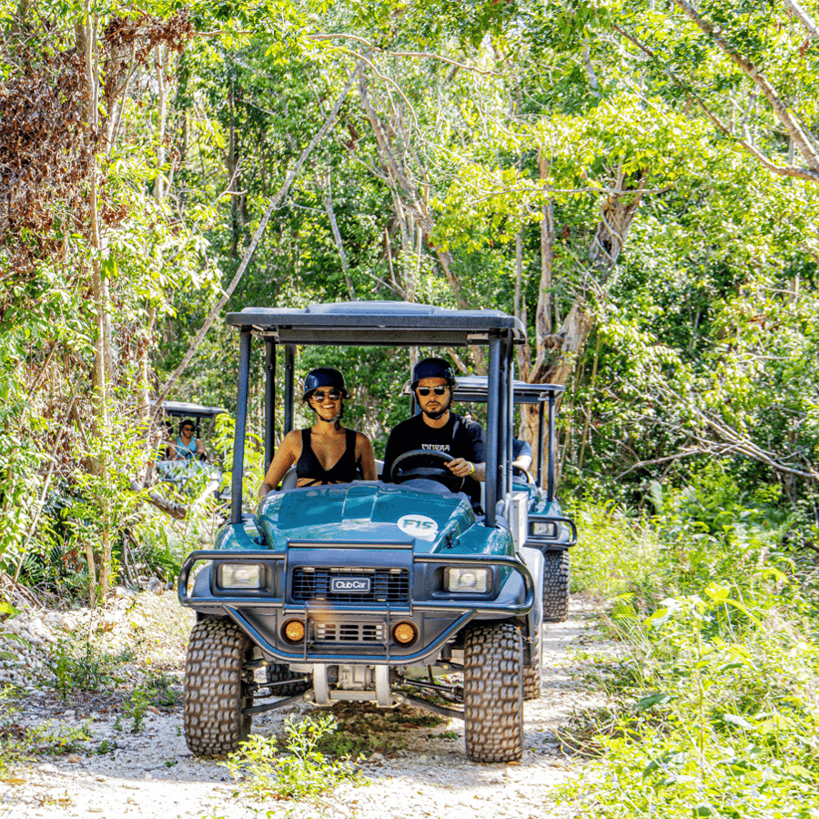 Art and Forest Way Combo Full Day Tour