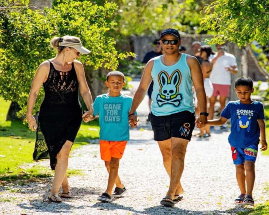 Punta Cana: Art and Forest Way Full-Day Tour with Lunch