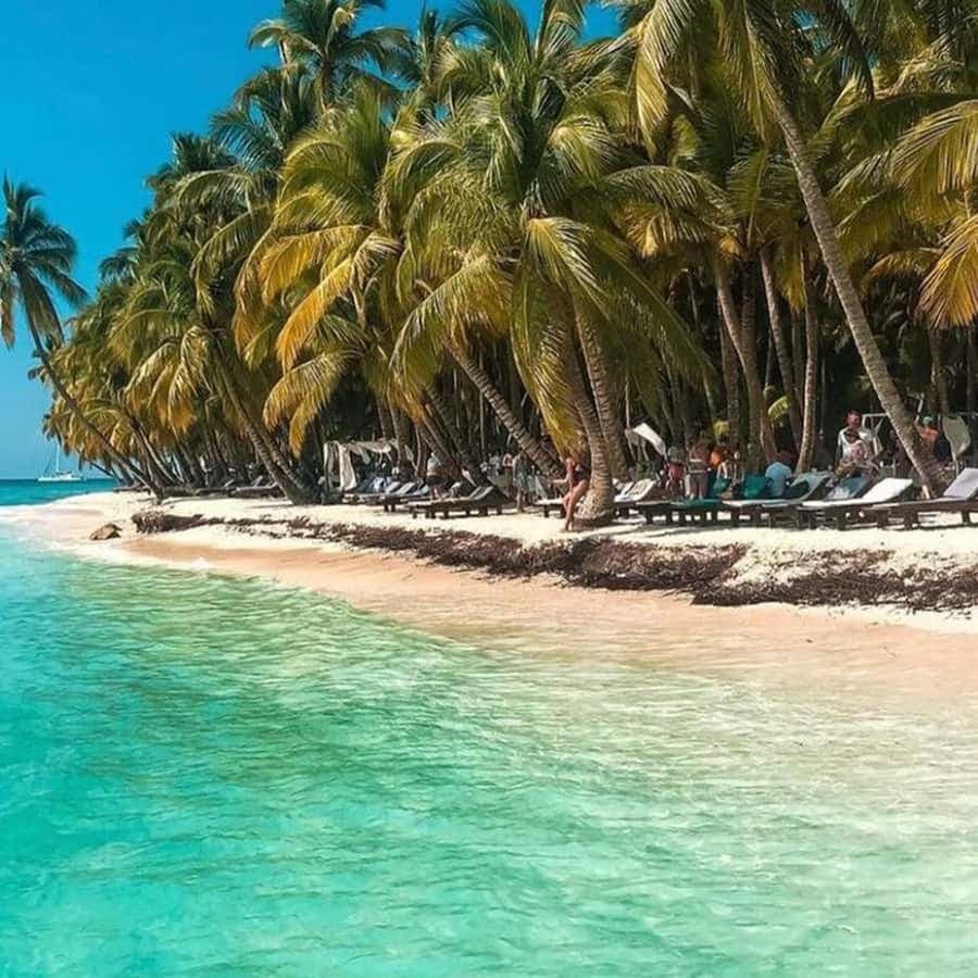 Santo Domingo: Saona Island Day Trip with Catamaran Ride