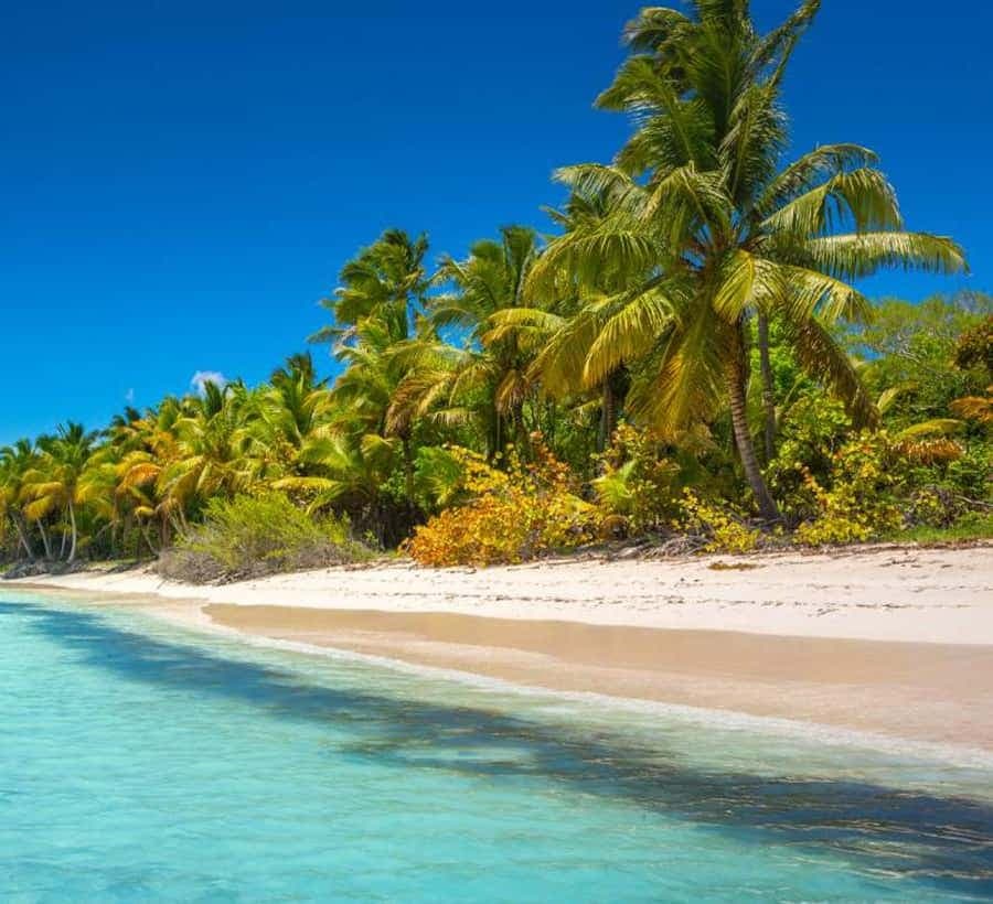 Punta Cana: Isla Saona Speedboat Tour with Snorkeling