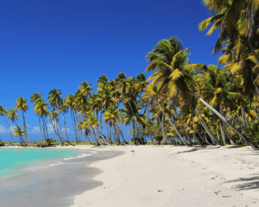From Punta Cana: Saona Island Boat Trip with Buffet