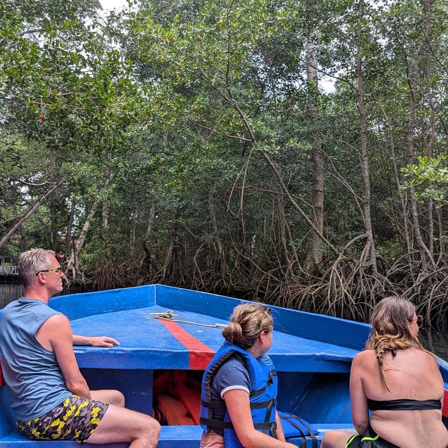 Mangove boat tour - Rio San Juan Guided 4-6 hour tour