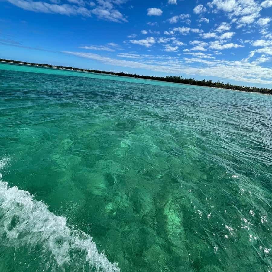 Speedboat Adventure: Exhilarating Experience in Punta Cana