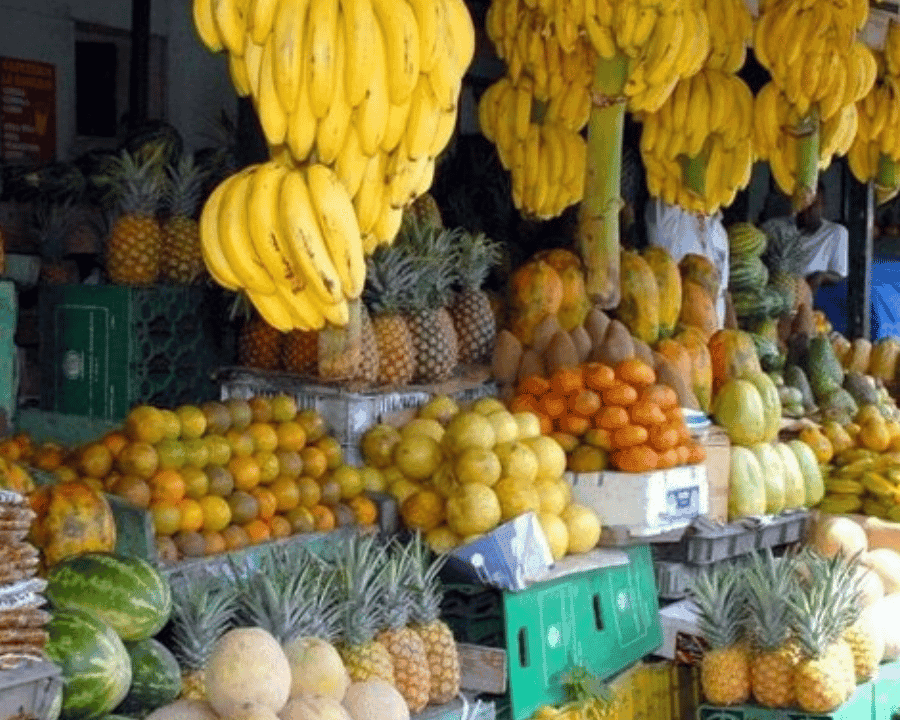 Culture Half Day Tour in Higuey from Punta Cana