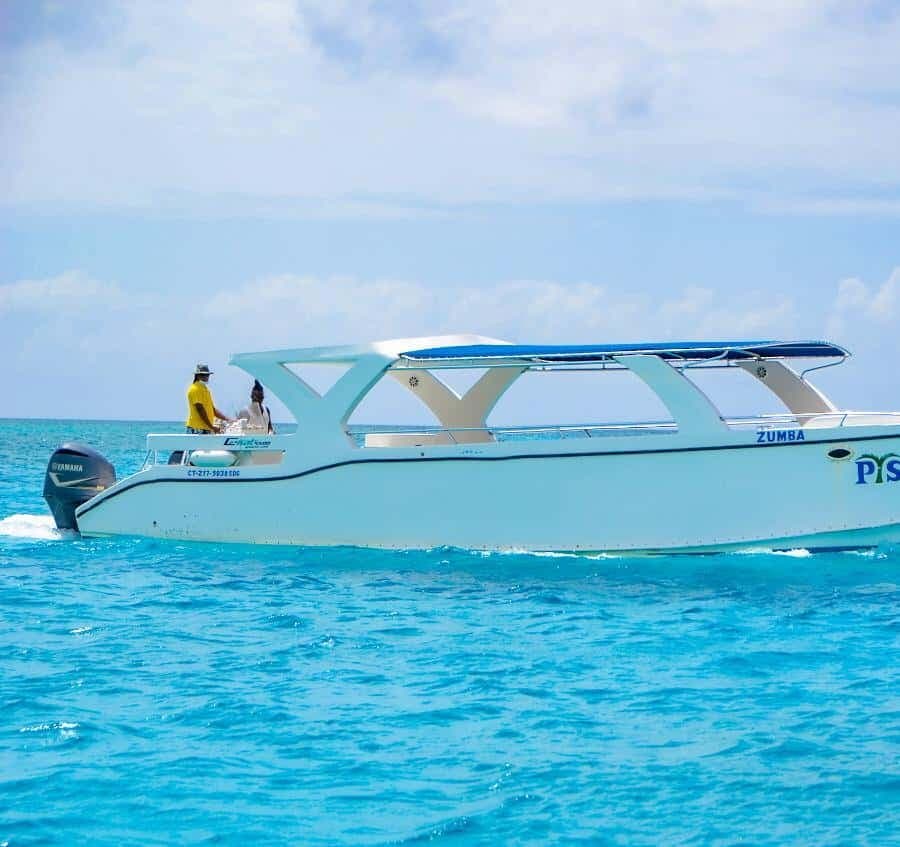 Punta Cana: Saona Island Tour with Transportation