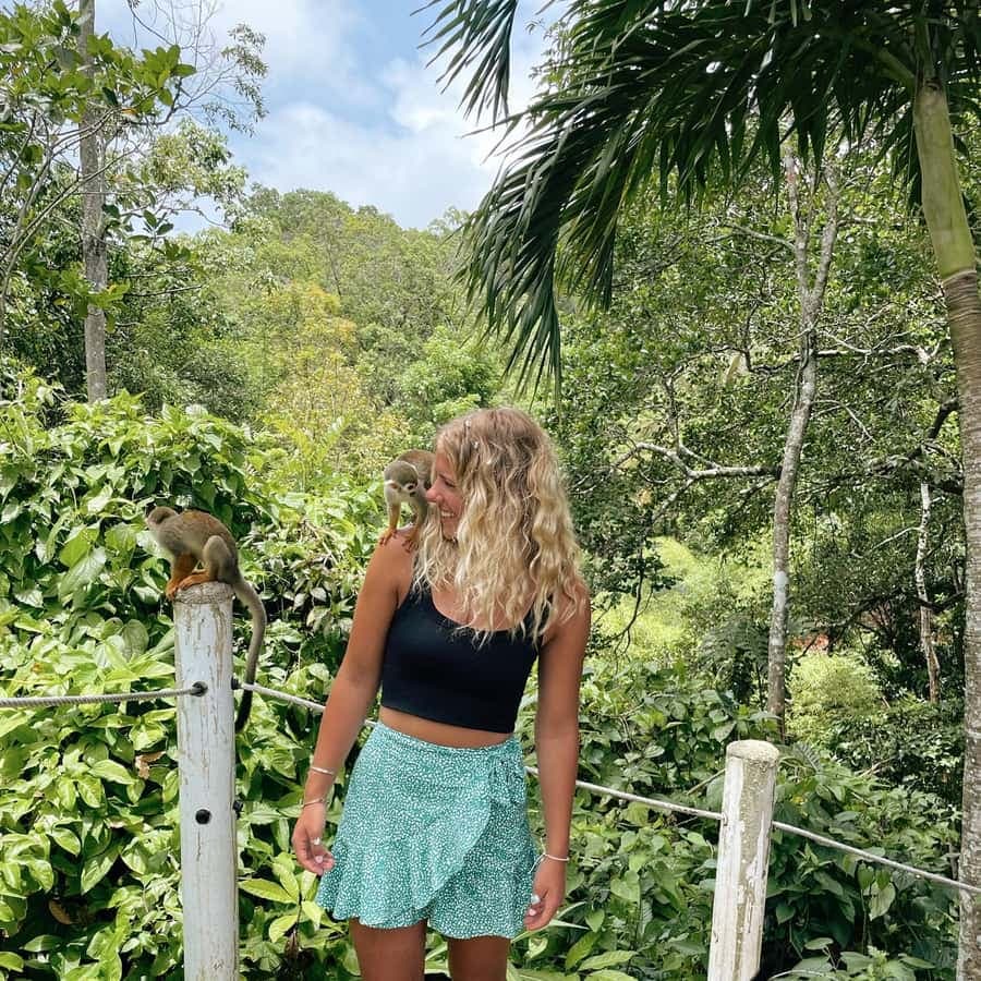 Monkey jungle tour + Transportation from cruise/hotel