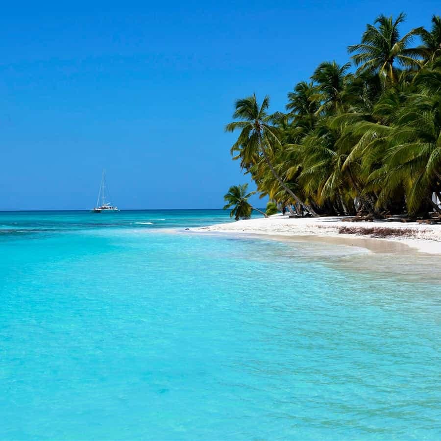 Saona Island Private: +10 People Catamarán