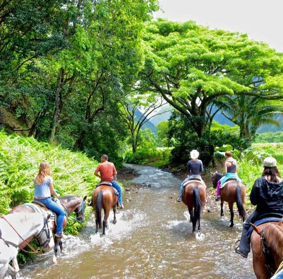 Full-Day Safari Outdoor Adventure in Punta Cana