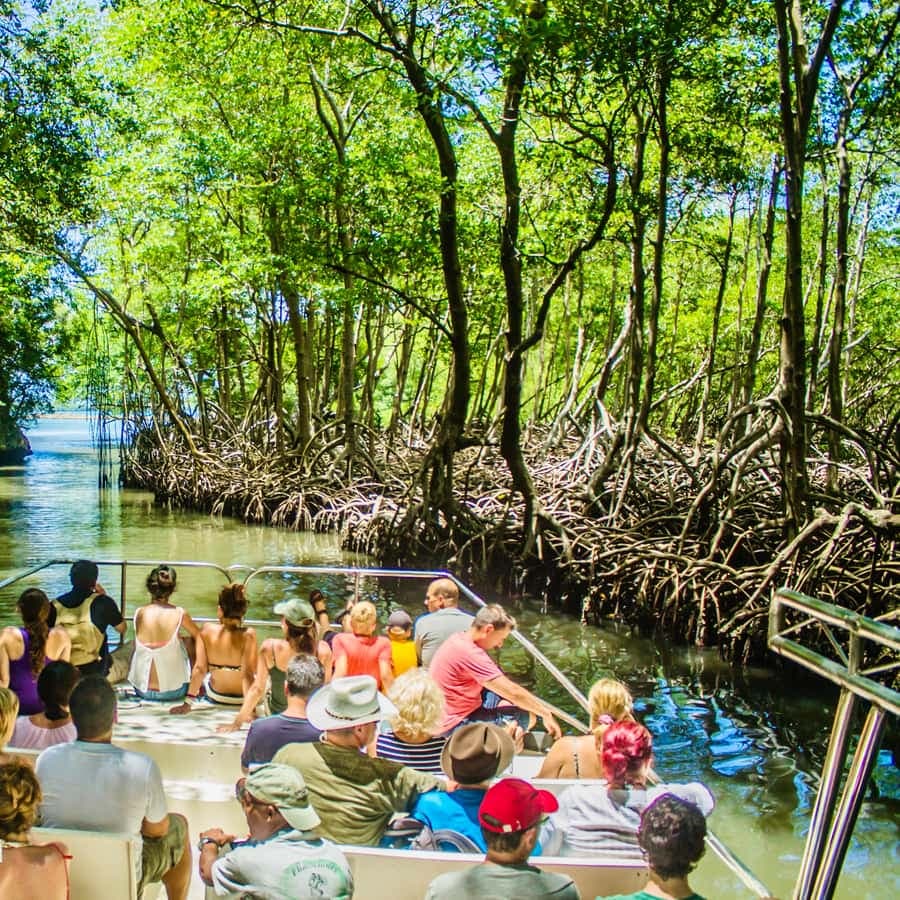 Punta Cana Los Haitises Park, Yanigua Waterfall, & Montaña Redonda Tour