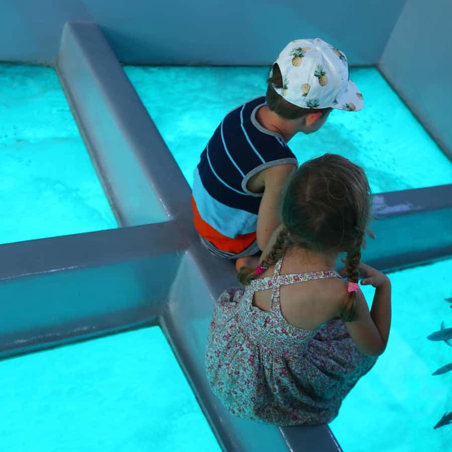 Glass Boat Adventure In Punta Cana