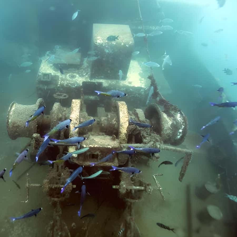 Experience the Exciting Caribbean Underwater World