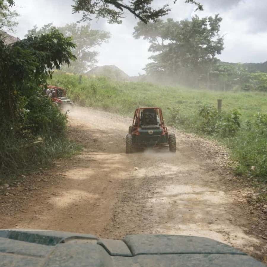 From Punta Cana or La Romana: Sugarcane Fields Buggy or Quad