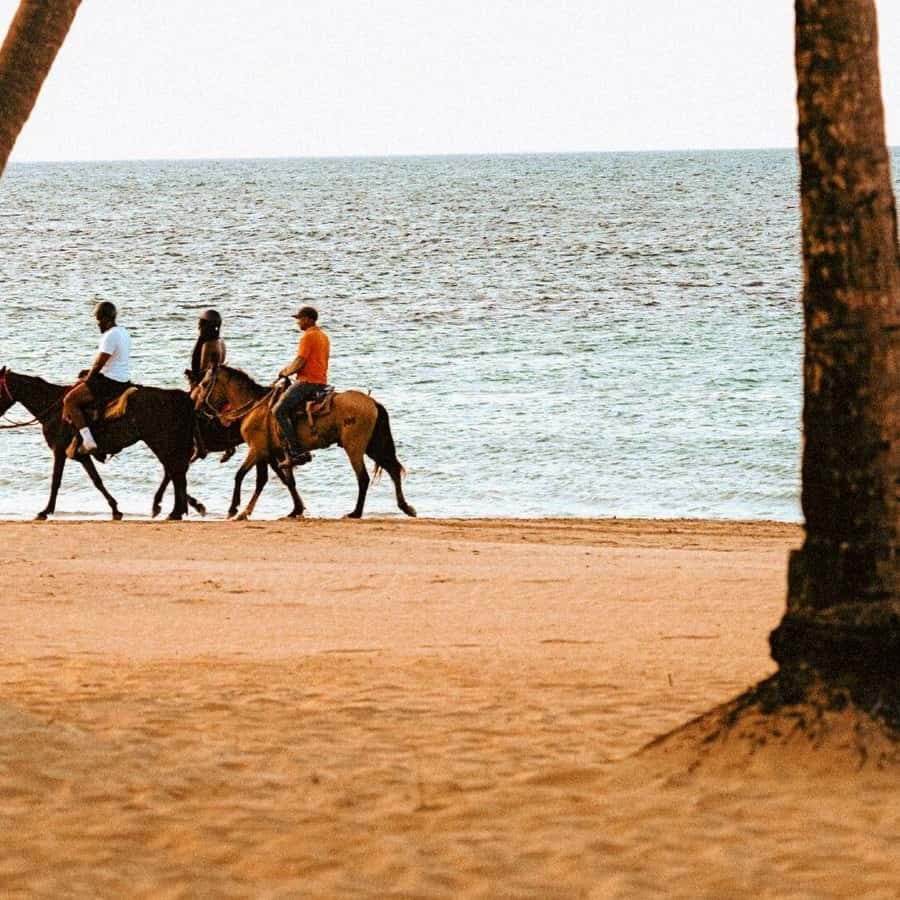 Coastal Trails & Culture: Horseback Sunset Experience