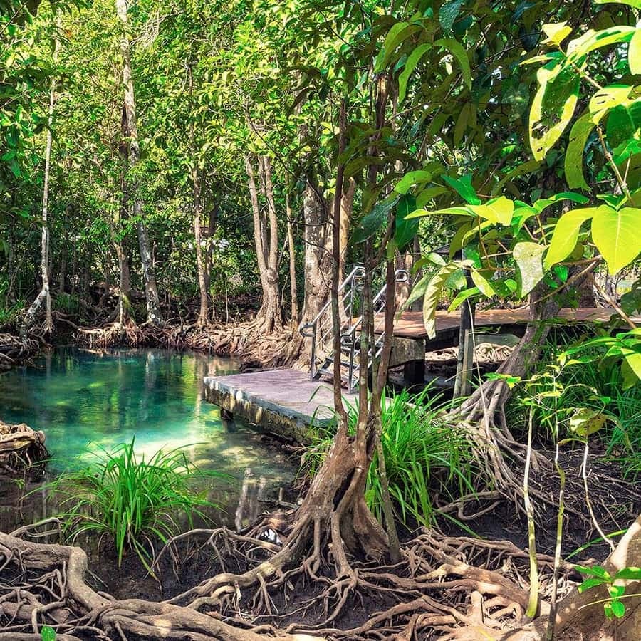 Mangroves, Mogotes and Mountains from Punta Cana