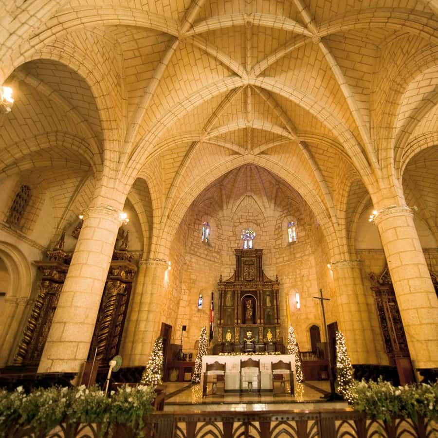 From Punta Cana: Full-Day Santo Domingo City Tour