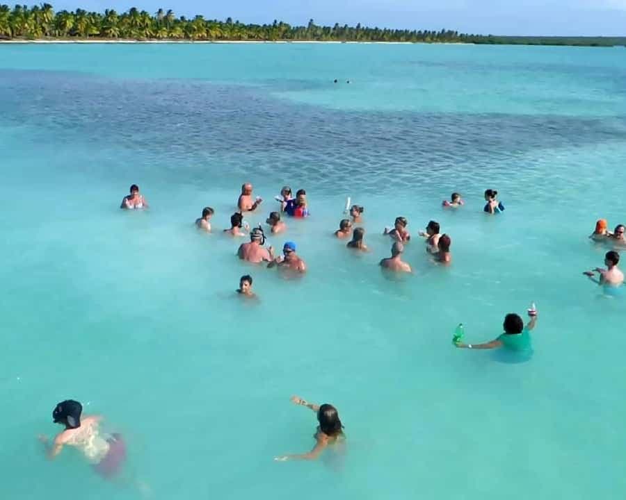 Santo Domingo: Isla Saona Day Trip with Lunch & Catamaran