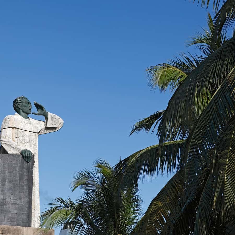 Santo Domingo Runner from Punta Cana