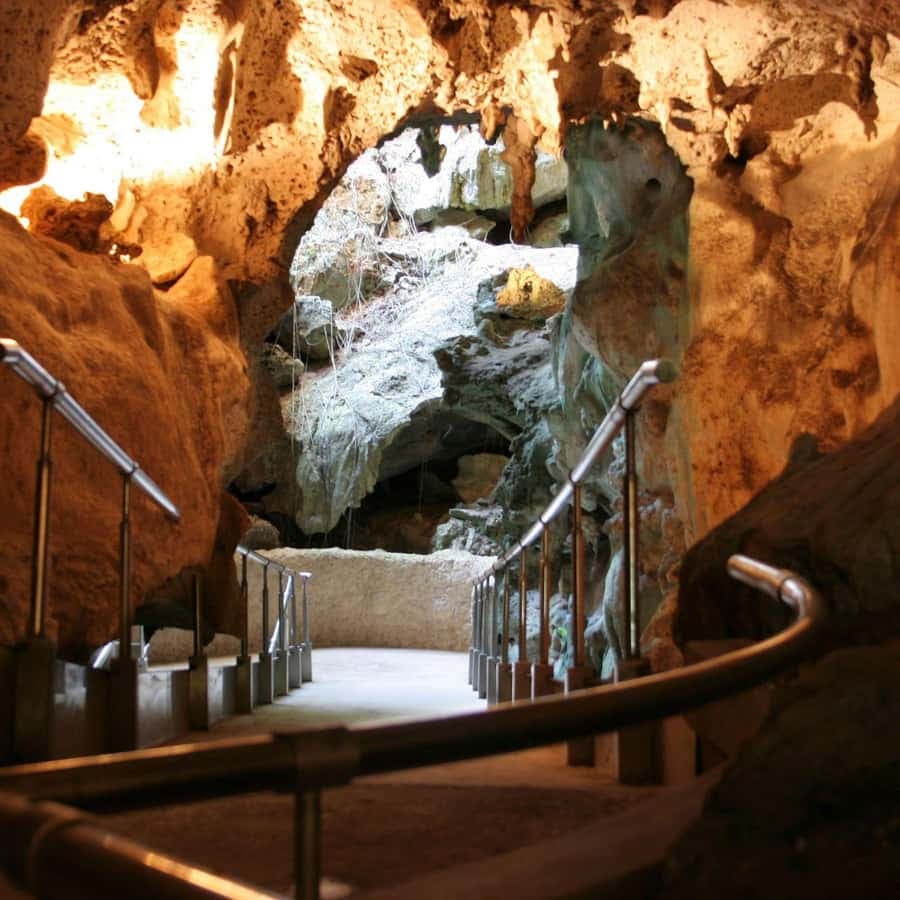 Punta Cana: Private Dominican Flavors Cultural Half-Day Trip