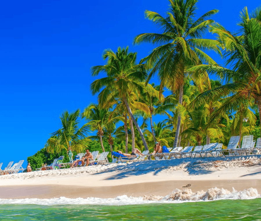 Punta Cana: Samaná Cayo Levantado & El Limón Waterfall Tour